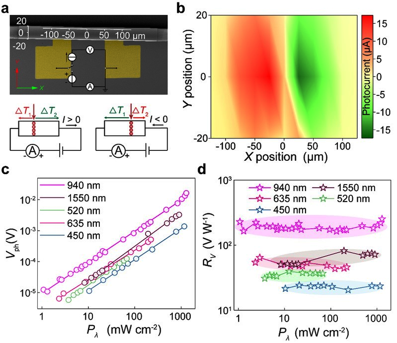 图2. 自卷曲探测器的光热电效应验证：a-b. 研究所用空间坐标系，以及光生电流的位置依赖关系的示意图和实验结果；c-d. 多波长激发下入射光功率与自驱动光生电压，电压响应度关系曲线。